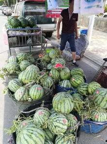 宣威网红吃瓜事件,揭秘网络舆论的风暴与真相