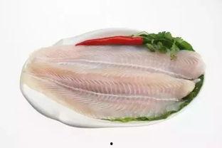 亚洲岩鲤视频,探寻神秘水域中的珍稀鱼类